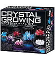 Set 4M - Crystal Kit expérimental de culture
