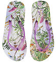 Molo Slippers - Zeppo - Wild Nature