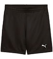 Puma Sports shorts - Tad - Puma Black