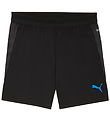Puma Sportshorts - Cup Training - Svart m. Blå