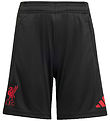 adidas Performance Shorts - Liverpool - Black