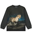 Molo Blouse - Rube - Cheetah Run