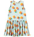 Molo Dress - Candence - Fresh Apricot
