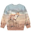 Molo Sweatshirt - Mattis - Rennende cheeta's