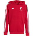 adidas Performance Hoodie - LFC Kids - STRRED