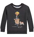 Polo Ralph Lauren Sweatshirt - Classic - Grey