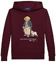 Polo Ralph Lauren Hoodie - Classic - Wine
