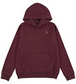 Abercrombie & Fitch Hoodie - Fig