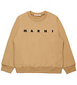 Marni Sweatshirt - Cardboard Beige