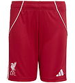 adidas Performance Shorts - LFC H - Strred