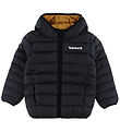 Timberland Vadderad jacka - Svart