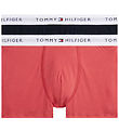 Tommy Hilfiger Bokserit - 2 kpl - Kuorrutettu karpalo/Desert Sk