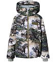 Molo Winterjacke - Castor - Rocky Dino