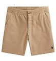 Polo Ralph Lauren Shorts - Classiques - Khaki