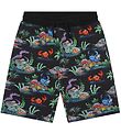 Stella McCartney Kids Sweat Shorts - Black w. Print