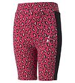 Puma Fietsbroek - Classic+ - Beetroot Purple