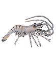 Papo Shrimp - L: 9 cm