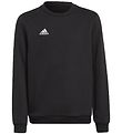 adidas Performance Sweatshirt - Entrada 22 - Svart