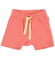 Petit Piao Shorts - Modaal - Dark Peach