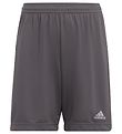 adidas Performance Shorts - Entrada 22 - Grau