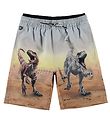 Molo Swim Shorts - Swim Trunks UV50+ - Neal - Dino Scenery