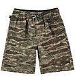 Molo Swim Shorts - Swim Trunks UV50+ - Neal - Dino Texture