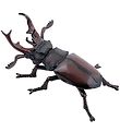 Papo Deer Beetle - L: 7 cm