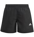 adidas Performance Uimashortsit - Urheilumerkki - Musta