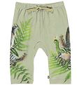 Molo Trousers - Sabb - Fern Climbers