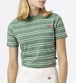 Dickies T-shirt - Cropped - Westover - Dark Ivy w. Stripes