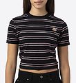 Dickies T-shirt - Cropped - Westover - Black/Pink striped