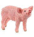 Schleich Farm World - Pattegris - H: 3.3 cm 13934