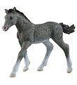 Schleich Horse Club - Trakehner Foal - H: 7.0 cm 13944