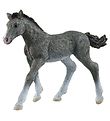 Schleich Horse Club - Trakehner Fohlen - H: 7, 0 cm 13944