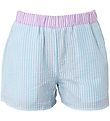 Hound Shorts - Stripe - Light Blue