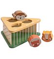 Sebra Shape Sorter - Wood - Safari