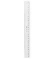 Linex Ruler - 30 cm - Transparent