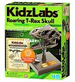 Crâne 4M - KidzLabs - Rugissement T-Rex Crâne