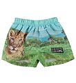 Molo Swim Trunks - UV50+ - Newton - Lion Cub