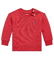 Polo Ralph Lauren Sweatshirt - Classic II - Red