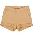 Wheat Shorts - Antonie - Havre