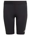 adidas Performance Shorts - TF SHRT Tight Y - Zwart