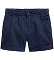 Polo Ralph Lauren Shorts - Prepster - Classiques I - Marine