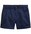 Polo Ralph Lauren Shorts - Prepster - Classic I - Navy