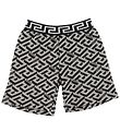 Versace Collegeshortsit - Harmaa melange/Musta