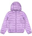 Champion Padded Jacket - Purple