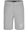 Tommy Hilfiger Sweat Shorts - Timeless - Light Grey Heather