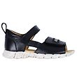 Angulus Sandal - Svart m. Logotypband