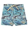 Molo Shorts - Simroy - Uralt Ocean