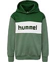 Hummel Hoodie - hmlMorten - Pineneedle